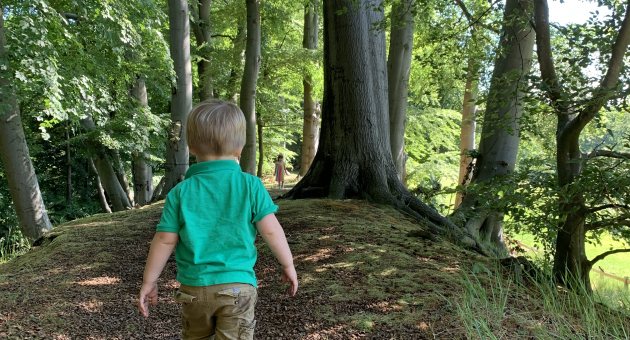 Wandelen in Den Haag met het gezin - foto: Didi