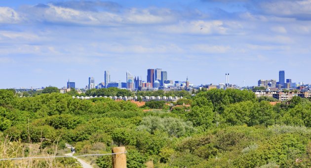 Den Haag vanaf de duinen Den Haag vanaf de duinen