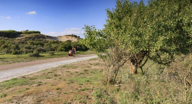 Lekker fietsen in de duinen