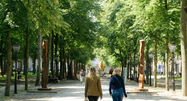 Wandelen Lange Voorhout
