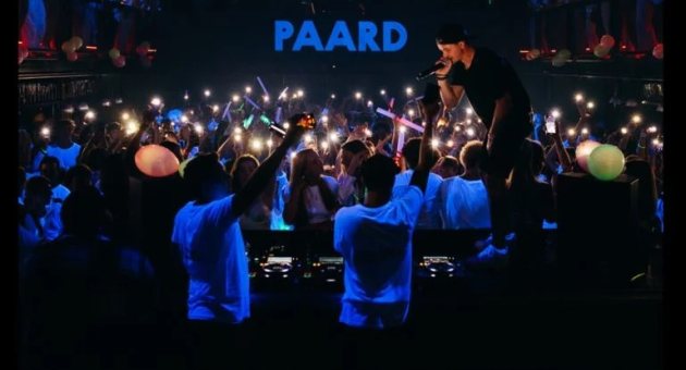 Nightschool Paard