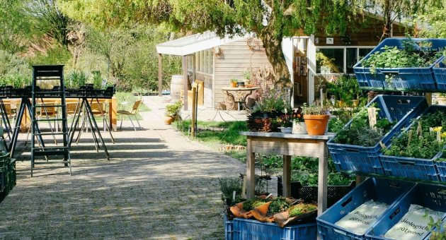 Mens en tuin Duurzaam Den Haag