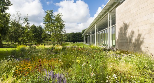 Piet Oudolf tuin in Voorlinden