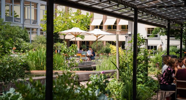 Het groene verborgen terras vol planten van café Soof in de tuin van het Nutshuis