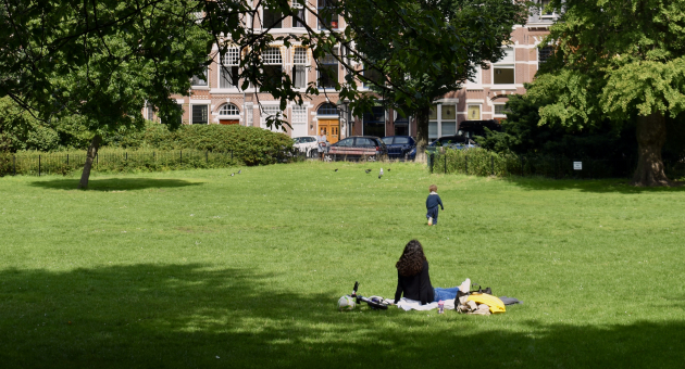 Statenkwartier Frederikhendrik plein park