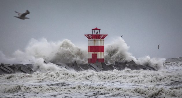Storm veroorzaakt hoge golven op de Noordzee en zorgt voor spectaculair beelden bij het havenhoofd van Scheveningen - Foto: Arjan de Jager