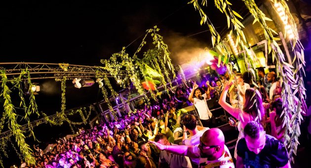 Feestende menigte bij Zazu onder licht en bladeren (c) Zazu