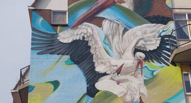 Street Art Den Haag