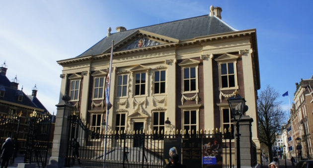 Free Walking Tour The Hague - Mauritshuis