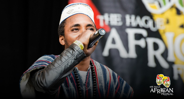 The Hague African Festival Zuiderpark