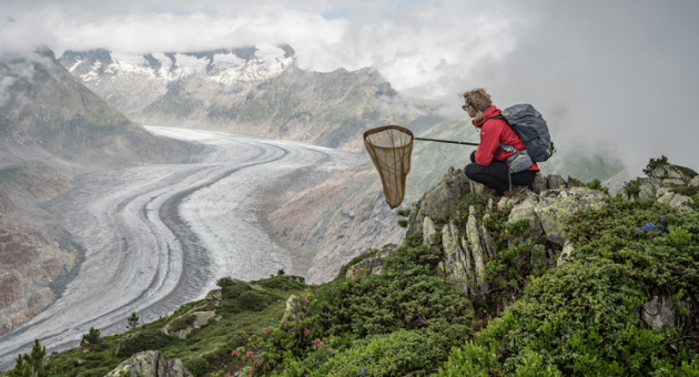 Foto van Lucas Foglia waarin hij de migratie van vlinders vastlegd