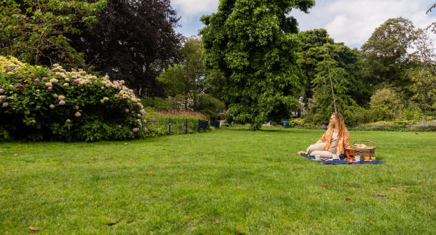 Picknick op grasveld met dekens, kussens en eten in een groen park met hoge bomen en bloeiende struiken
