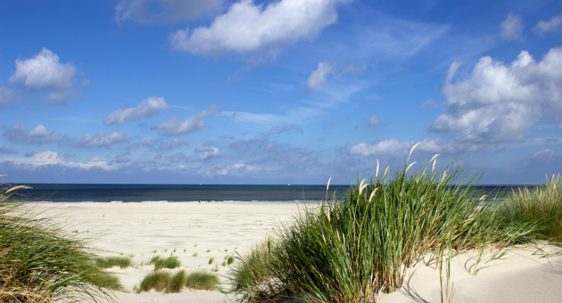 Zuiderstrand