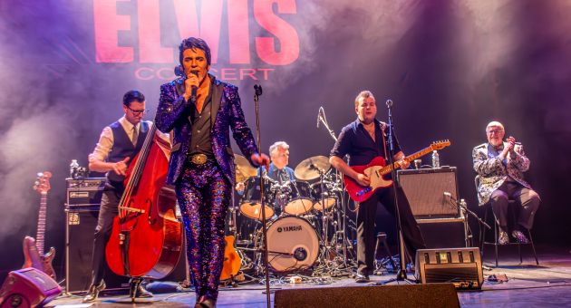 Dwight Icenhower en bandmembers staan op het podium van The Elvis concert. Dwight is gestyled als elvis in een paars glitterpak. 