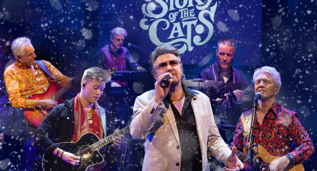Promotiebeeld voor the story of the cats. De bandleden staan afgebeeld met hun instrumenten op het podium en worden omgeven door sneeuw. 