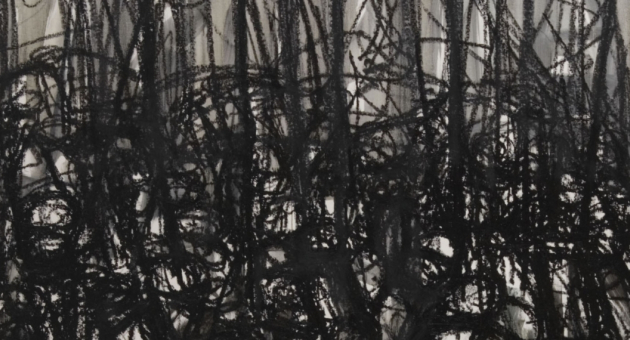 Cristina Ursu - Over de wereld