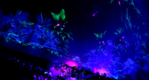Publiek kijkt naar magische lichtshow in jungle