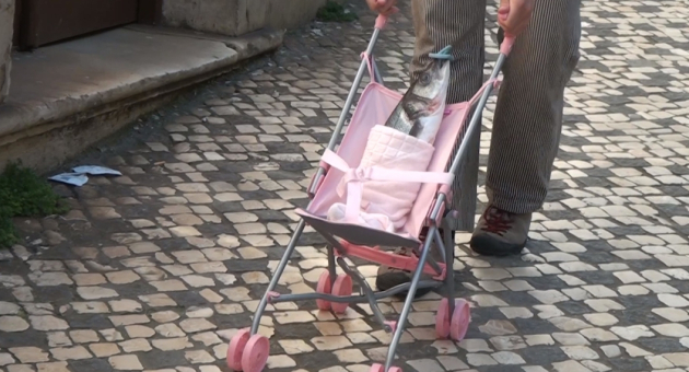 Vis in roze kinderwagen op straatstenen trottoir