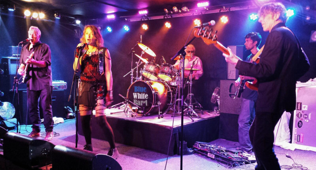 Liveoptreden van Blue White Band op podium