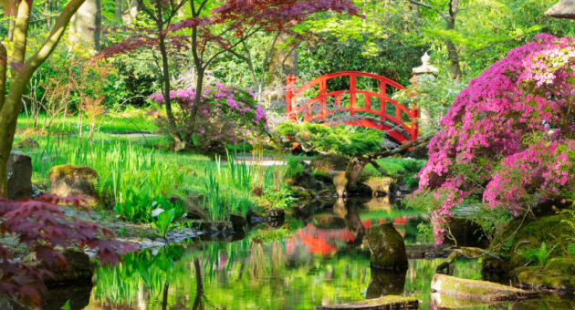 Japanse Tuin in Den Haag 