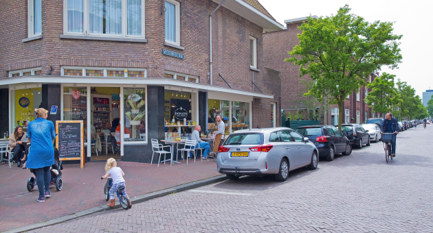 Van Hoytemastraat
