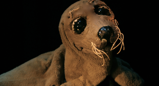 Bruine zeehondenpop met grote ogen en snorharen