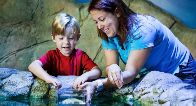 Kind ontdekt zeedieren samen met begeleider