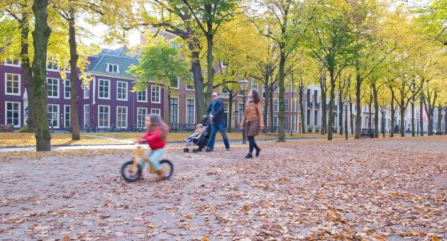 Lange Voorhout in Den Haag