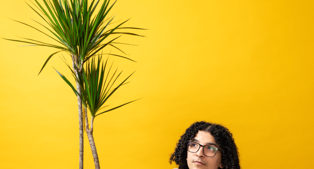  Persoon met krullend haar en bril kijkt omhoog naar een grote kamerplant, tegen een felgele achtergrond.