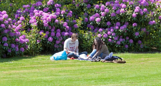 Westbroekpark