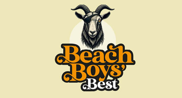 poster beach boys best