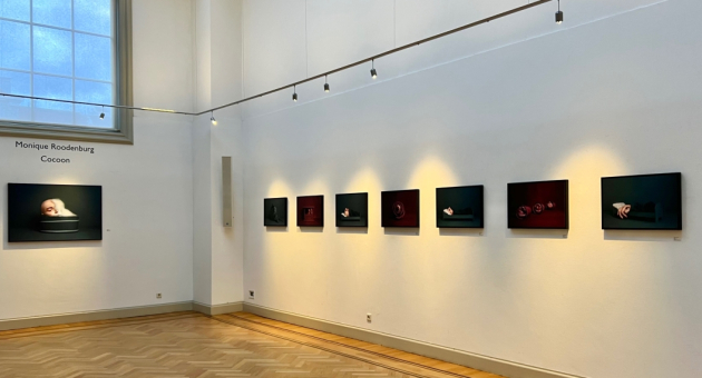 Kunstwerken van Monique Roodenburg in een galerij