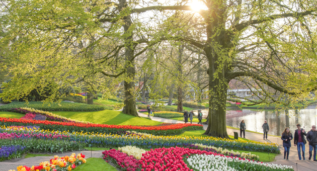 Bunte Tulpenfelder mit blühenden Bäumen und Passanten.