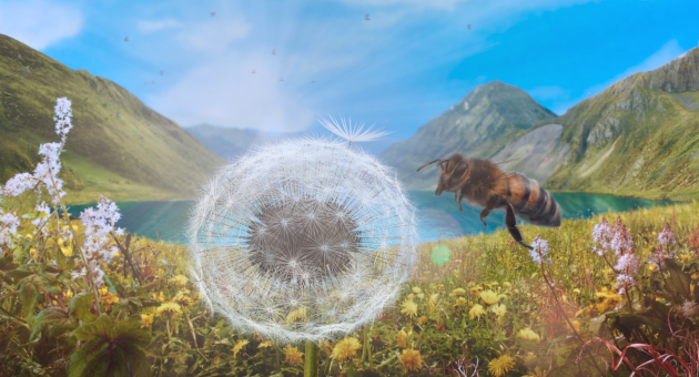 Een dandelion met een bij op de achtergrond bij een meer.
