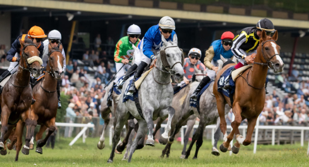 De Dag van het Paard & The UAE President Cup. Verschillende jockeys rijden op paarden tijdens een race.