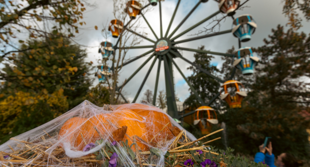 A pumpkin with spider webs and flowers, with a Ferris wheel in the background.