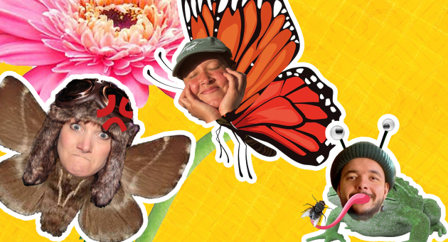 Fladder & Brom (4+) Collage van een mot, vlinder, bloemen en mensen met gekke gezichten.
