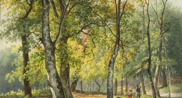 The Hague Forest by the Dutch artist Jacob Hendrik van de Sande Bakhuyzen