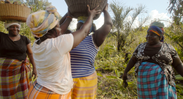 Vijf vrouwen dragen manden op hun hoofd in een groen veld.