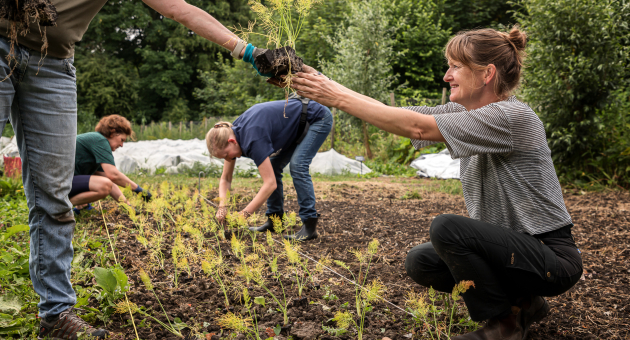 Oogst-Moestuin. Foto Marco Rutten.