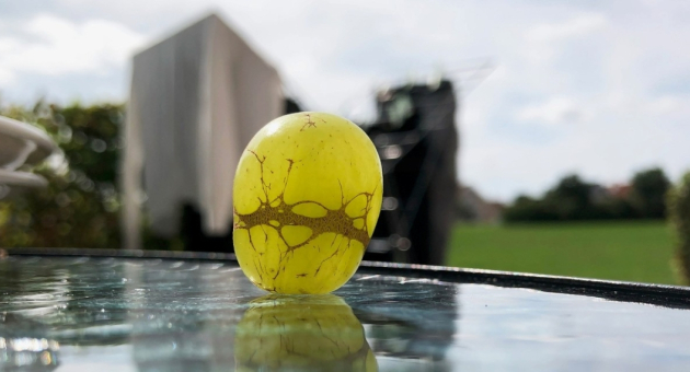 Een gele steen met donkere aderen staat op een tafel.