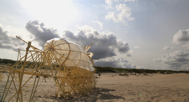 Strandbeest op het strand die zelfstandig in beweging komt door de wind