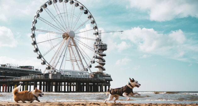 De Pier Scheveningen