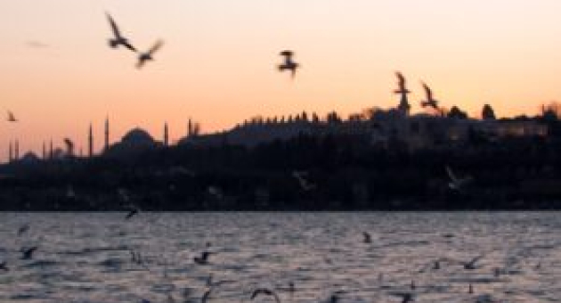 Vogels vliegen over het water tijdens zonsopgang.