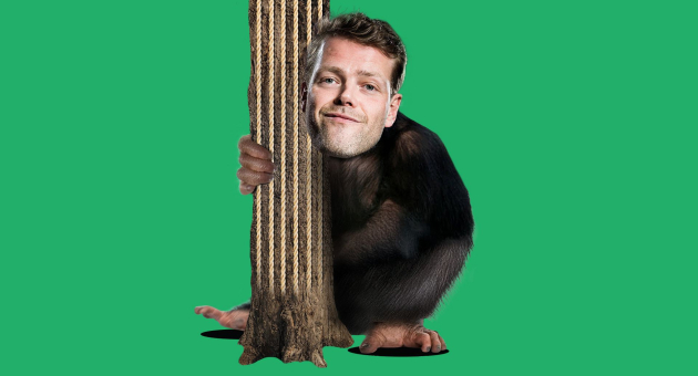 Gemonteerd beeld van een aap met het gezicht van een man, omarmt een stam tegen een groene achtergrond