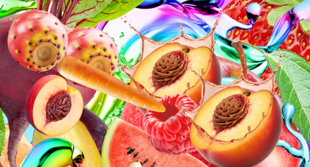 Detail van kleurrijke illustratie van fruit door Eric Giraudet De Boudemange