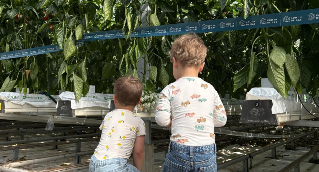 Twee kinderen kijken naar paprika's in een kas.