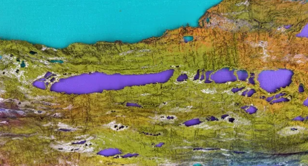 Abstracte textuur met felgroene, paarse en turquoise kleuren, doet denken aan een landschap of luchtfoto