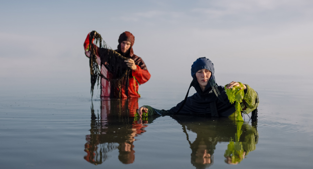 Twee personen staan tot hun middel in het water, gekleed in kleurrijke waterdichte kleding, en houden zeewier omhoog onder een heldere hemel.