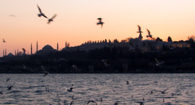 Voegels langs de Turkse kust in avondlicht die passen bij de sfeer van de klassieke muziek van ziel van de zijderoute